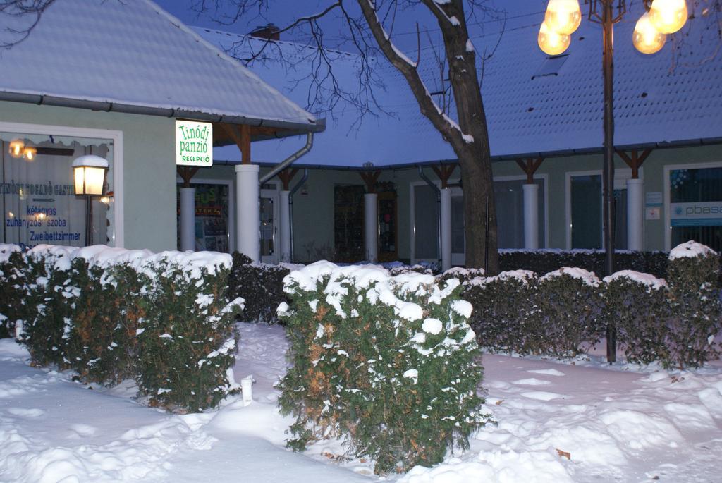 Tinodi Fogado Bed & Breakfast Sárvár Eksteriør bilde
